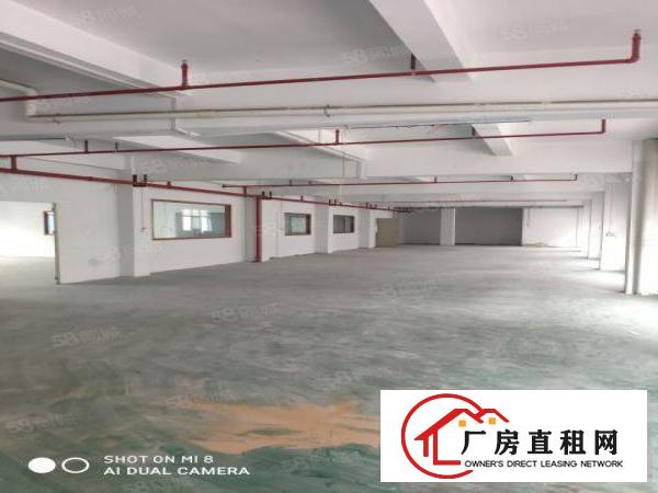  长安乌沙兴发路原房东厂房带现成装修没有基本电费厂房出租