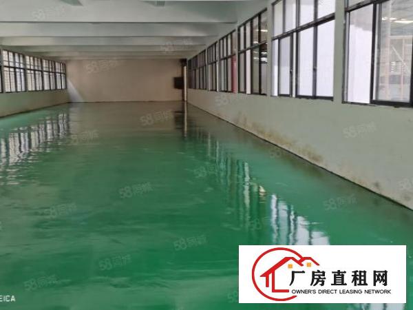  经典小独院，可环评，依山伴水。