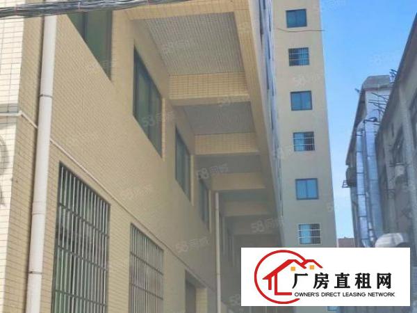  长安厦边新出一楼970平方全新装修厂房，空地大