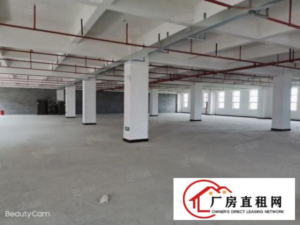  笋！原房东300至800平米厂房，办公室车间精装修，地段好。