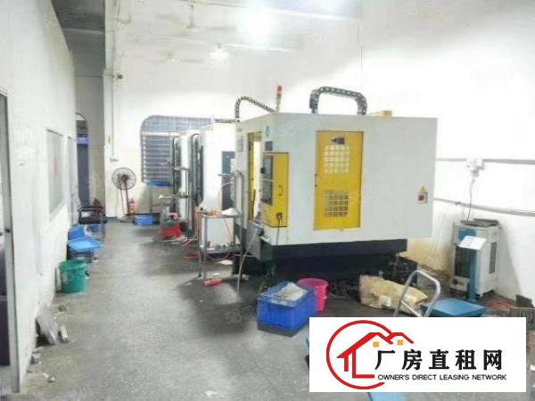  客户转租锦厦，一楼标准厂房300平方。(面积非常实在)房租