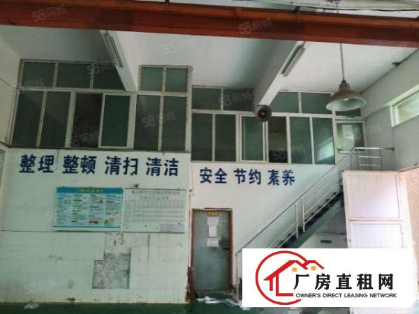  靓房！沙头新出一楼现成行车，精装修办公室1600平方厂房