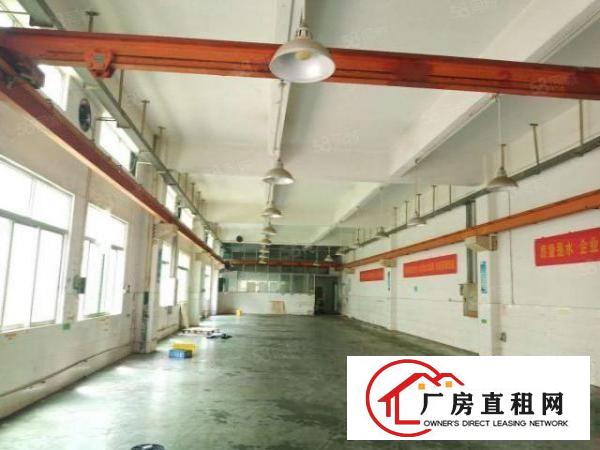  靓房！沙头新出一楼现成行车，精装修办公室1600平方厂房