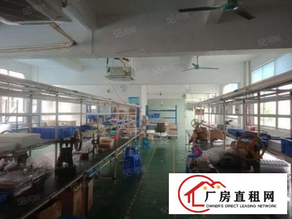  长安乌沙新出一楼360平方楼上240平方小面积精装修厂房出租
