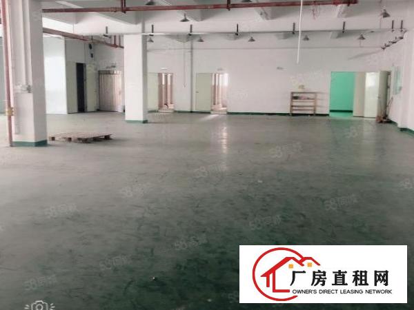  长安沙头原房东2楼一整层2000平带办公室行车出租