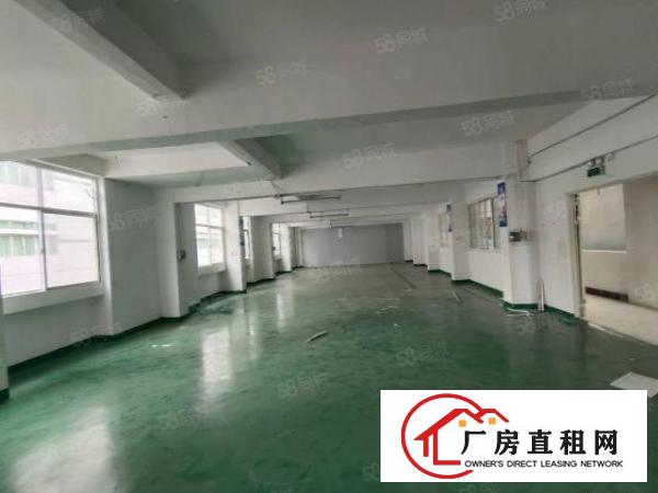  长安镇新空出独院1到3标准12000平厂房出租可分租