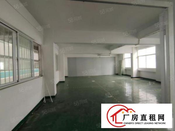  长安镇新空出独院1到3标准12000平厂房出租可分租