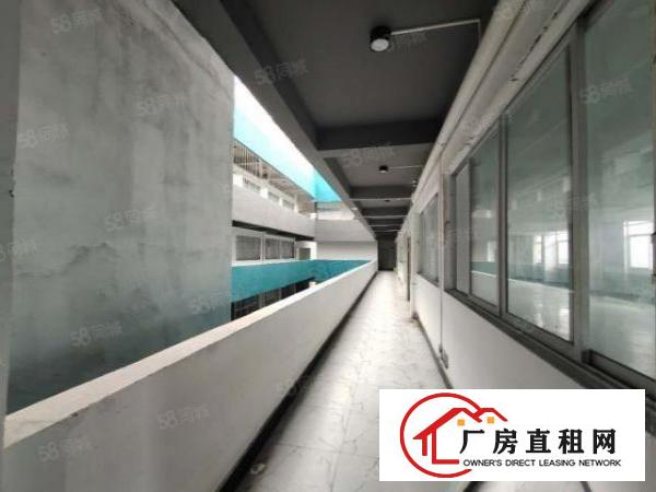  长安镇新空出独院1到3标准12000平厂房出租可分租