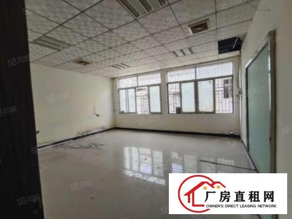  长安镇新空出独院1到3标准12000平厂房出租可分租