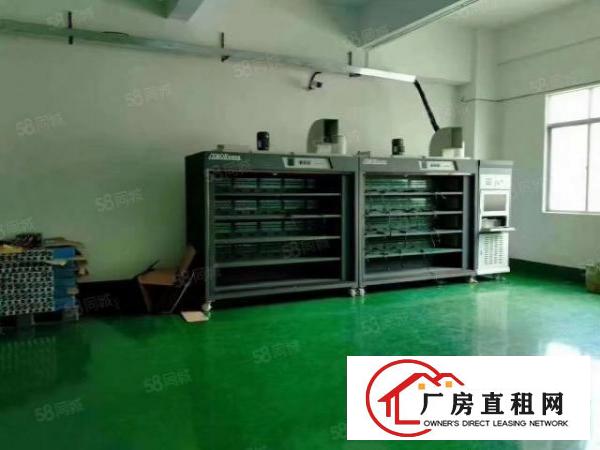  新出二楼1800平方，豪华装修厂房