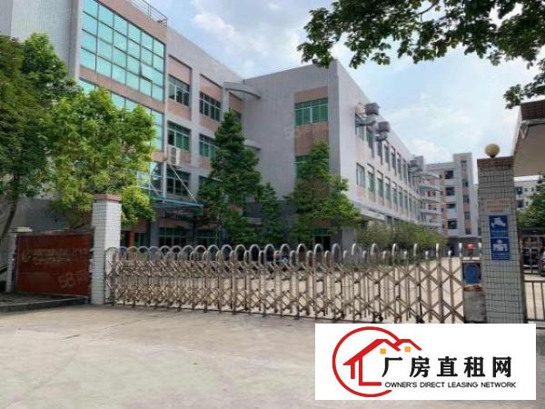  新出三楼500平方，精装修厂房出租