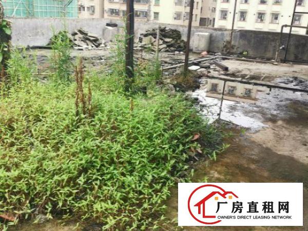  新民新出原房东2700平方小独院招租