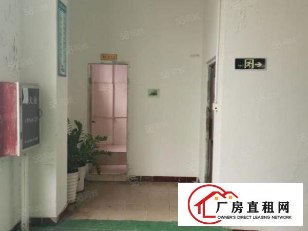  新民新出原房东2700平方小独院招租