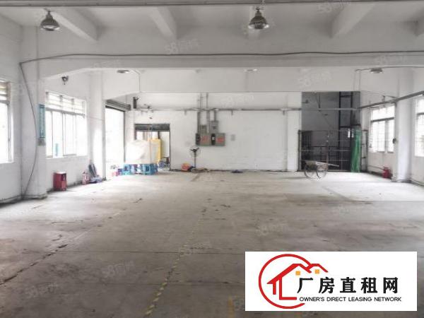  新民新出原房东2700平方小独院招租