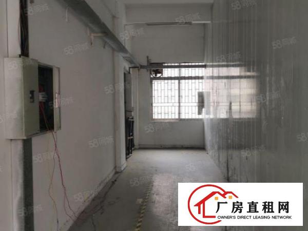 新民新出原房东2700平方小独院招租