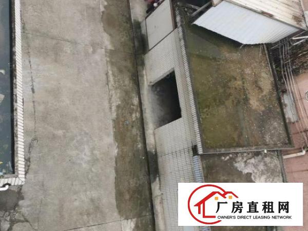  新民新出原房东2700平方小独院招租