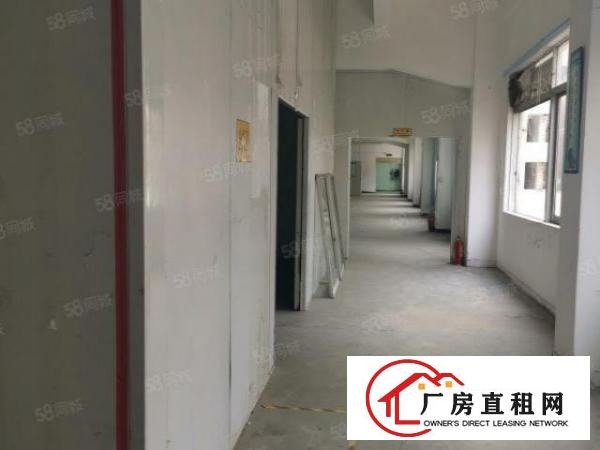  新民新出原房东2700平方小独院招租