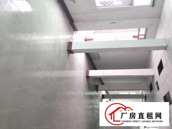 厦岗新出一手房东厂房1200平方带简单装修，有办公室，