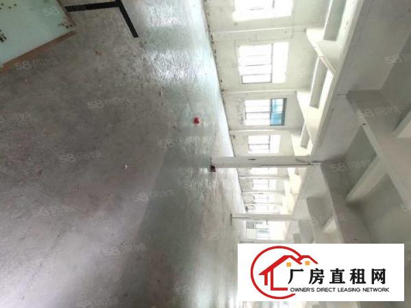  厦岗新出一手房东厂房1200平方带简单装修，有办公室，