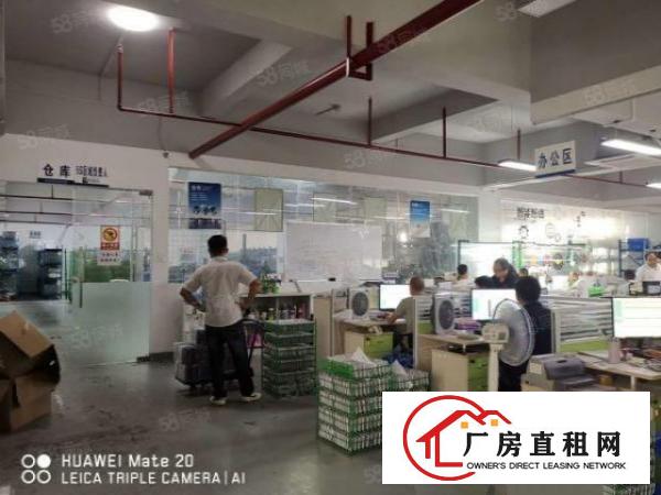  长安镇沙头社区新出标准厂房一楼整层2500平独立电梯