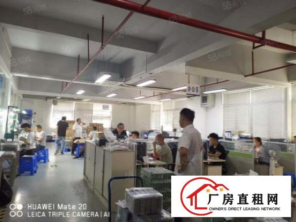  长安镇沙头社区新出标准厂房一楼整层2500平独立电梯