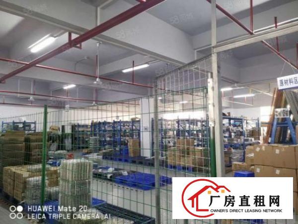  长安镇沙头社区新出标准厂房一楼整层2500平独立电梯