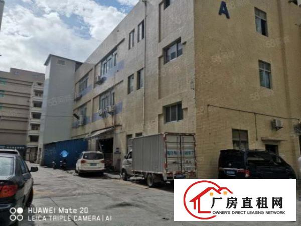  长安镇沙头社区新出标准厂房一楼整层2500平独立电梯