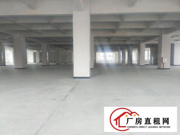  长安新安大桥附近超靓全新重工业厂房二楼整层5000平方.全新