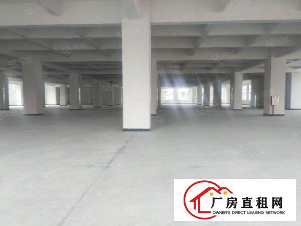  长安新安大桥附近超靓全新重工业厂房二楼整层5000平方.全新