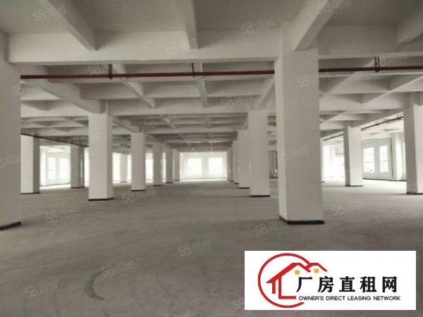  长安新安大桥附近超靓全新重工业厂房二楼整层5000平方.全新