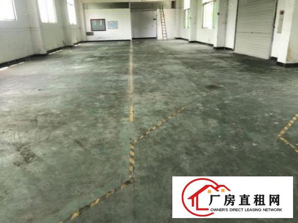  厦边新出3楼整层960平方格局好可分2家