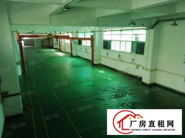  锦厦新出一楼1300平方带行车200起分可对外开门