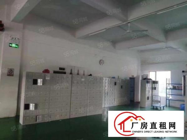  长安乌沙新出独院每层1000平方米村委厂房直租