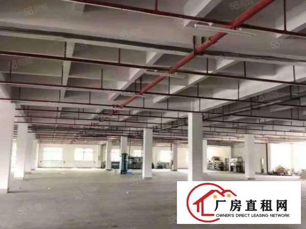  长安镇偏僻区域厂房出租2000平可分租丝印，喷油抛光环评