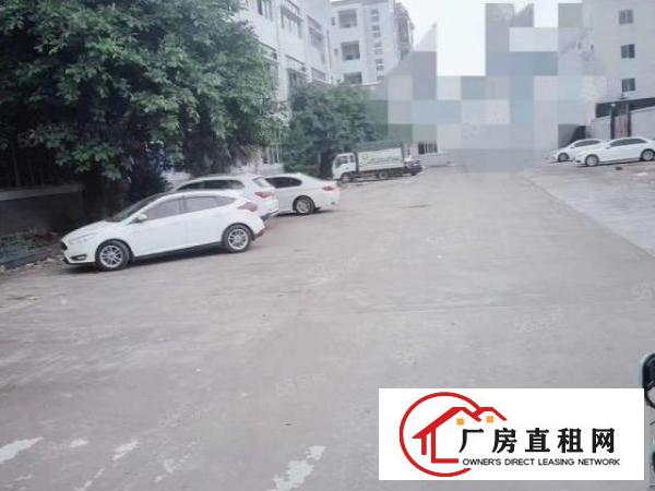  镇锦厦河南工业区新出一楼1800豪华装修现成五金环评