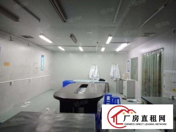  长安沙头楼上空出精装修680平方厂房招租