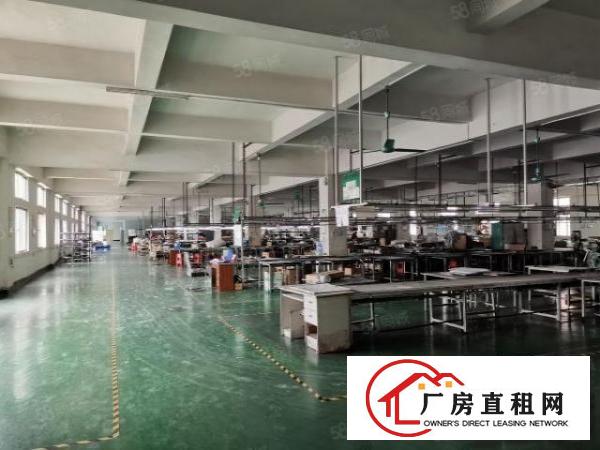  沙头原房东500平.750平一楼带装修厂房水电齐全，位置好