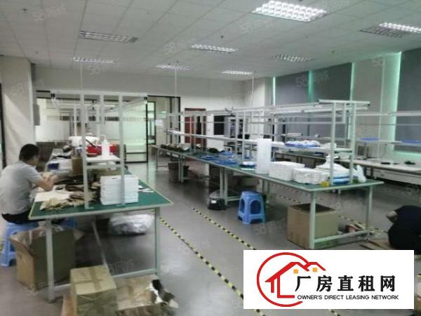  长安镇厦岗新出1800平楼上精装修厂房出租带办公室