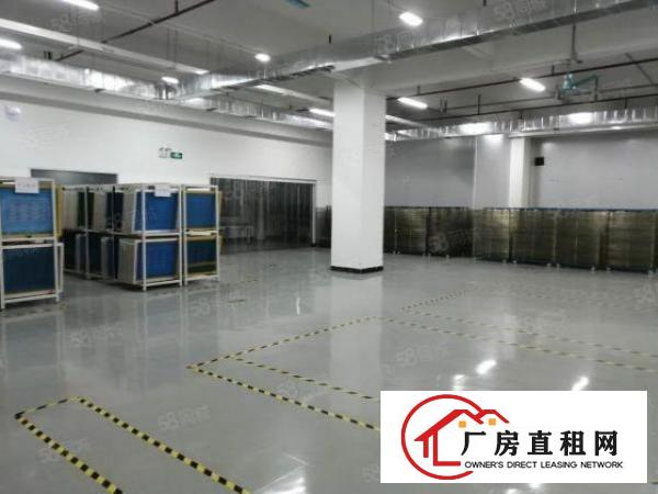  长安镇厦岗新出1800平楼上精装修厂房出租带办公室