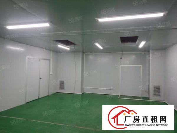  长安虎门楼上新出1000平方无尘车间