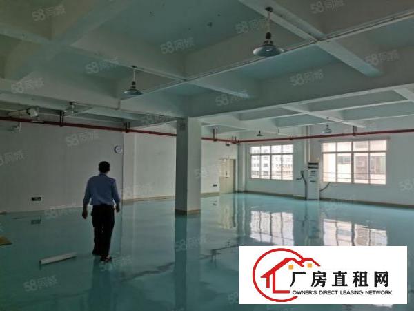 笋！原房东500.800.1500平米带装修厂房，拎包入住