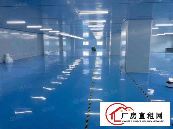  长安镇锦厦新空无尘车间5200平，今年装修，不要转让费