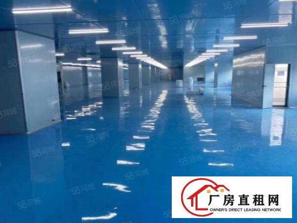  长安镇锦厦新空无尘车间5200平，今年装修，不要转让费