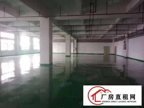  靓房！靓房！长安楼上全新精装修950平方厂房，自带消防喷淋