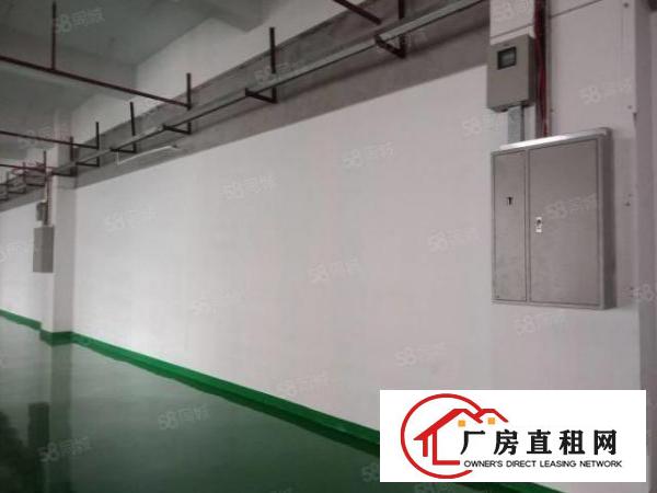 靓房！靓房！长安楼上全新精装修950平方厂房，自带消防喷淋