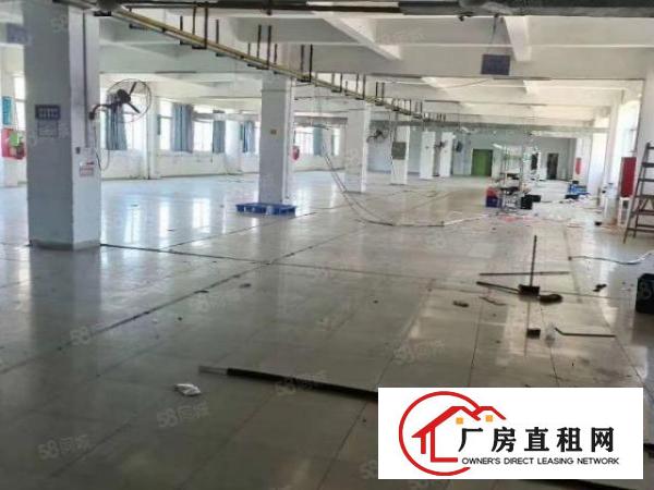  长安镇独院厂房出租6760平方好办环评可做轻污染行业