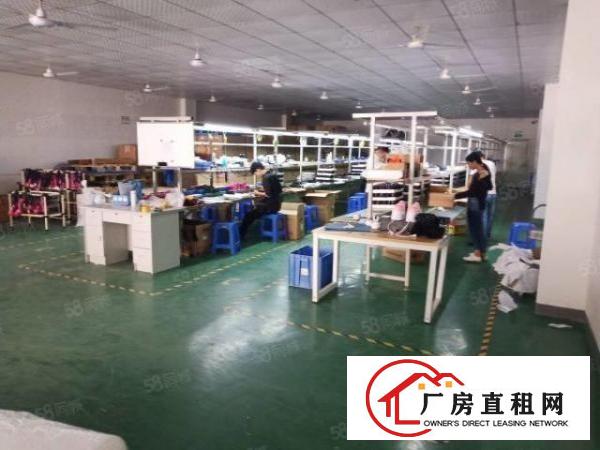  长安乌沙新出楼上1000精装修厂房出租