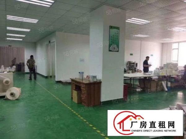  长安沙头原房东楼上一整层二楼2000平精装修厂房出租！