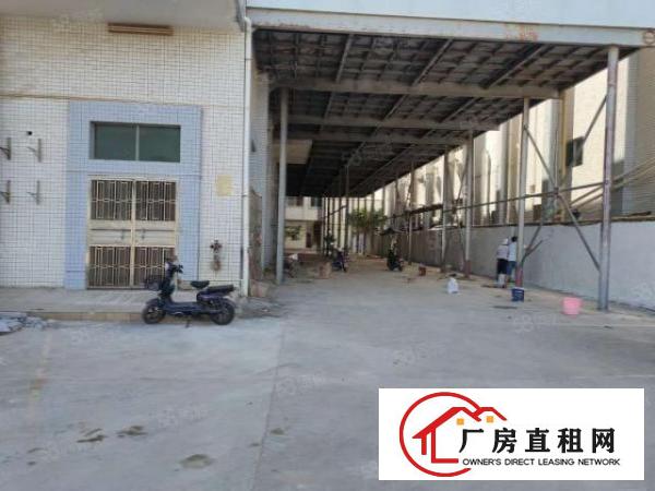  长安厂房出租上沙新出独院13500平米，水电齐全精装修