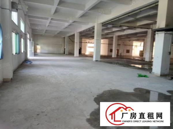 长安厂房出租上沙新出独院13500平米，水电齐全精装修